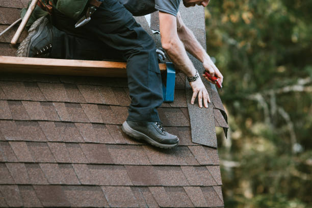 Best Roof Gutter Cleaning  in Tarkio, MO