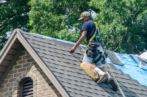 Trusted Tarkio, MO Roofing Contractor Experts